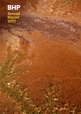 Annual Report 2017 Today BHP Is Stronger, Simpler and More Productive