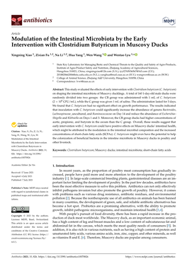 Modulation of the Intestinal Microbiota by the Early Intervention with Clostridium Butyricum in Muscovy Ducks