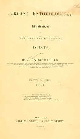 Arcana Entomologica, Or, Illustrations of New, Rare, and Interesting Insects