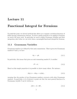 Lecture 11 Functional Integral for Fermions
