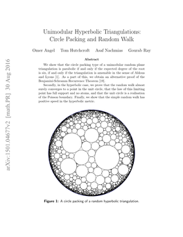 Unimodular Hyperbolic Triangulations: Circle Packing and Random Walk