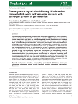 Diverse Genome Organization Following 13 Independent Mesopolyploid Events in Brassicaceae Contrasts with Convergent Patterns of Gene Retention