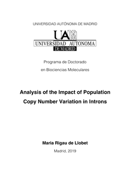 Analysis of the Impact of Population Copy Number Variation in Introns