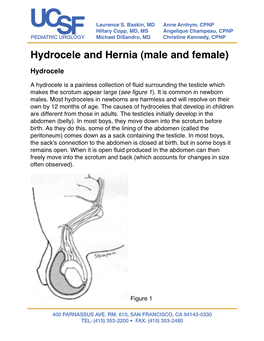 Hydrocele and Hernia (Male and Female)