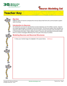 Neuron Teacher Key 5-17-16