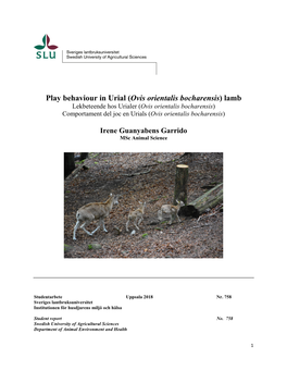 Play Behaviour in Urial (Ovis Orientalis Bocharensis)