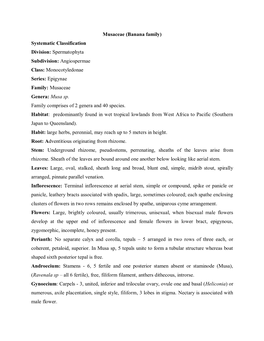 Musaceae (Banana Family) Systematic Classification Division: Spermatophyta Subdivision: Angiospermae Class: Monocotyledonae Seri