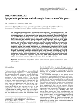 Sympathetic Pathways and Adrenergic Innervation of the Penis