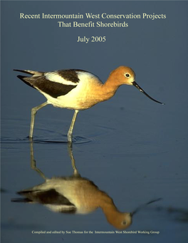 Shorebird Projects in the Intermountain West