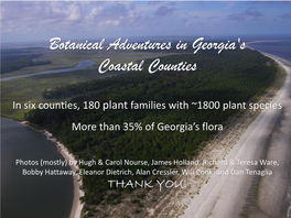 Botanical Adventures in Georgia's Coastal Counties