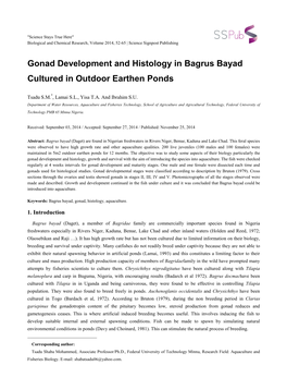 Gonad Development and Histology in Bagrus Bayad Cultured in Outdoor Earthen Ponds