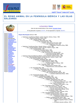 El Reino Animal En La Península Ibérica Y Las Islas Baleares