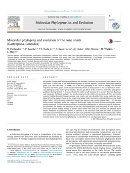 Molecular Phylogeny and Evolution of the Cone Snails (Gastropoda, Conoidea) ⇑ N