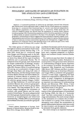 Phylogeny and Rates of Molecular Evolution in the Aphelocoma Jays (Corvidae)