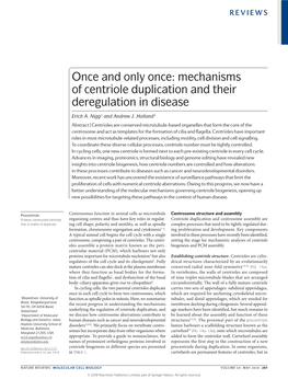 Mechanisms of Centriole Duplication and Their Deregulation in Disease