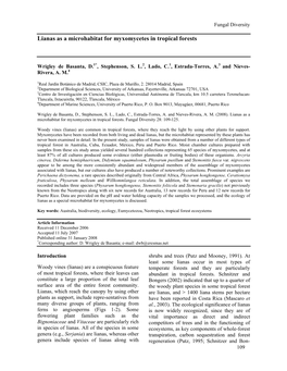 Lianas As a Microhabitat for Myxomycetes in Tropical Forests