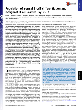 Regulation of Normal B-Cell Differentiation and Malignant B-Cell Survival by OCT2