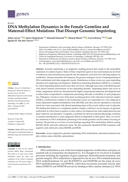 DNA Methylation Dynamics in the Female Germline and Maternal-Effect Mutations That Disrupt Genomic Imprinting