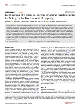 Identification of a Likely Pathogenic Structural Variation in the LAMA1