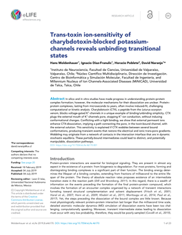 Trans-Toxin Ion-Sensitivity of Charybdotoxin-Blocked