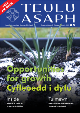 Cyfleoedd I Dyfu Opportunities for Growth