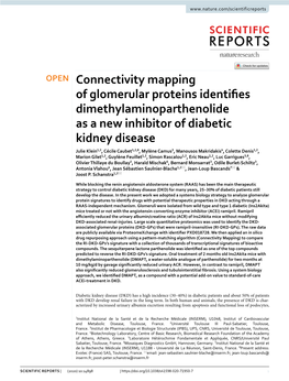 Connectivity Mapping of Glomerular Proteins Identifies