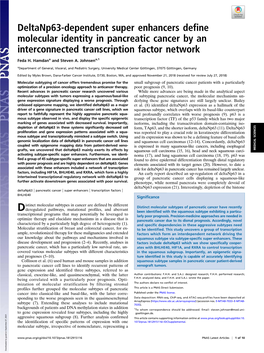 Deltanp63-Dependent Super Enhancers Define Molecular Identity in Pancreatic Cancer by an Interconnected Transcription Factor Network