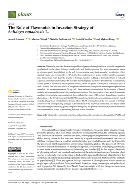 The Role of Flavonoids in Invasion Strategy of Solidago Canadensis L