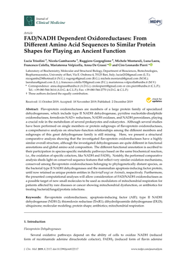 FAD/NADH Dependent Oxidoreductases: from Diﬀerent Amino Acid Sequences to Similar Protein Shapes for Playing an Ancient Function