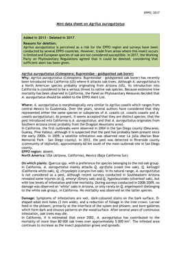 Mini Data Sheet on Agrilus Auroguttatus