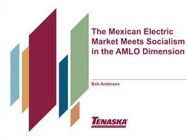 Mexico Electric Hypothetical Market Structure Nation Board Briefing