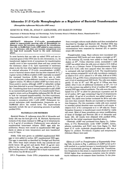 Adenosine 3':5'-Cyclic Monophosphate As a Regulator of Bacterial Transformation (Hemophilus Influenzae Rd/Cyclic-AMP Assay) EDMUND M