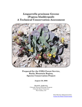 Lesquerella Pruinosa Greene (Pagosa Bladderpod): a Technical Conservation Assessment