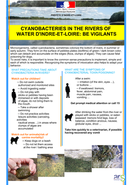 Cyanobacteries in the Rivers of Water D'indre-Et-Loire: Be Vigilants