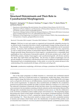 Structural Determinants and Their Role in Cyanobacterial Morphogenesis