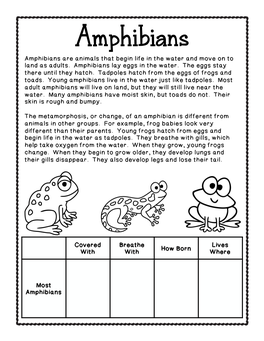 Amphibians Amphibians Are Animals That Begin Life in the Water and Move on to Land As Adults