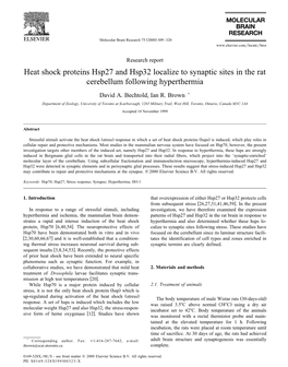 Heat Shock Proteins Hsp27 and Hsp32 Localize to Synaptic Sites in the Rat Cerebellum Following Hyperthermia