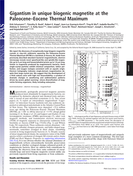 Gigantism in Unique Biogenic Magnetite at the Paleocene–Eocene Thermal Maximum