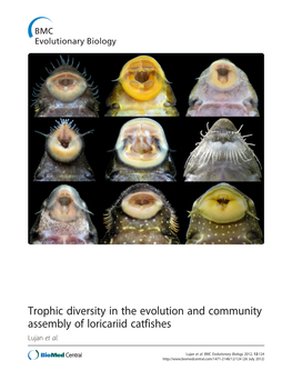 Trophic Diversity in the Evolution and Community Assembly of Loricariid Catfishes Lujan Et Al
