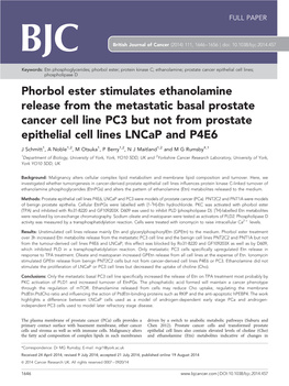 Phorbol Ester Stimulates Ethanolamine Release from the Metastatic Basal Prostate Cancer Cell Line PC3 but Not from Prostate Epithelial Cell Lines Lncap and P4E6