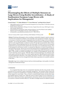 Disentangling the Effects of Multiple Stressors on Large Rivers Using