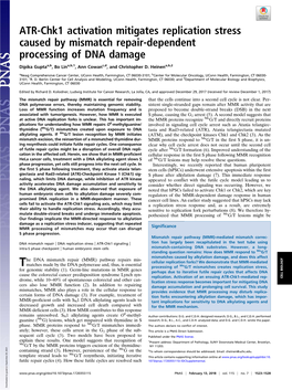 ATR-Chk1 Activation Mitigates Replication Stress Caused by Mismatch Repair-Dependent Processing of DNA Damage