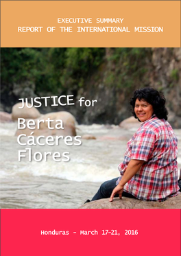 'Justice for Berta Caceres' International Mission