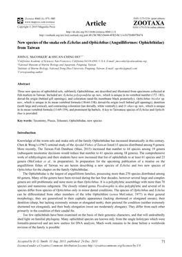 New Species of the Snake Eels Echelus and Ophichthus (Anguilliformes: Ophichthidae) from Taiwan