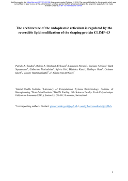 The Architecture of the Endoplasmic Reticulum Is Regulated by the Reversible Lipid Modification of the Shaping Protein CLIMP-63