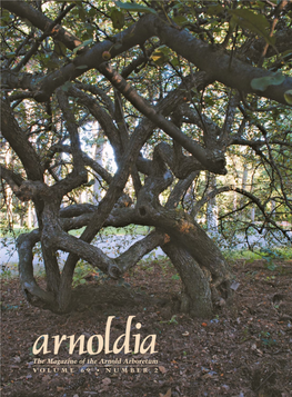 The Magazine of the Arnold Arboretum VOLUME 69 • NUMBER 2