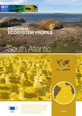 BEST Ecosystem Profile of the South Atlantic Region