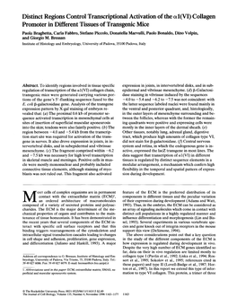 Collagen Promoter in Different Tissues Of