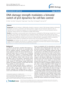 DNA Damage Strength Modulates a Bimodal Switch of P53 Dynamics For