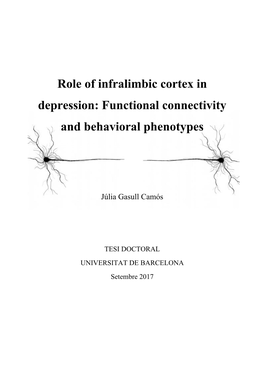 Role of Infralimbic Cortex in Depression: Functional Connectivity and Behavioral Phenotypes